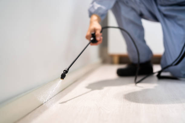 Licensed Fumigation Services service in Marionville, MO - Nex Pest Control