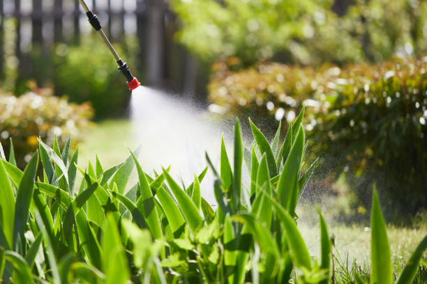 24/7 Emergency Fumigation Services experts in Marionville, MO